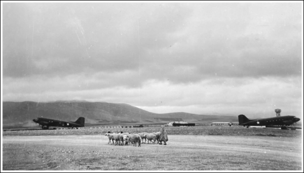 Behind Enemy Lines: Raff's Tunisian Task Force and Early Allied 