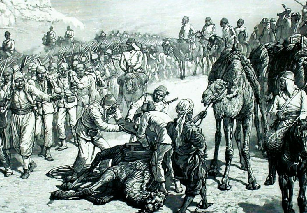 Hicks Pasha's expedition in Sudan